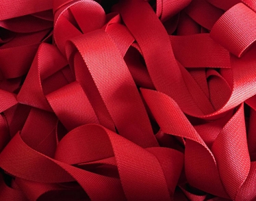 Polyester Webbing-Red